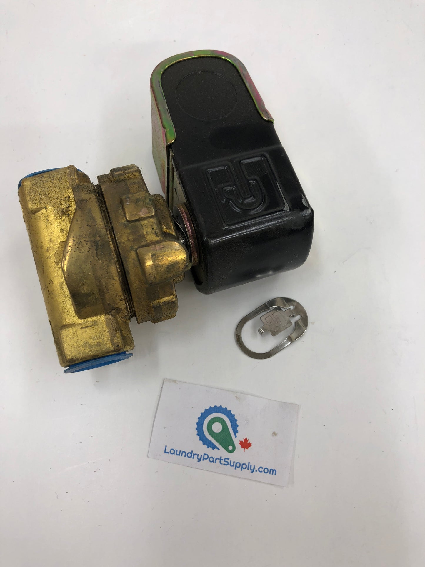 1/2" Steam Solenoid Valve, 24V/60C