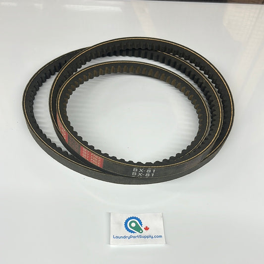 BELT BX81