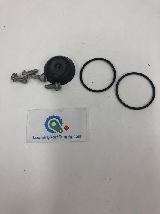 VALVE REPAIR KIT