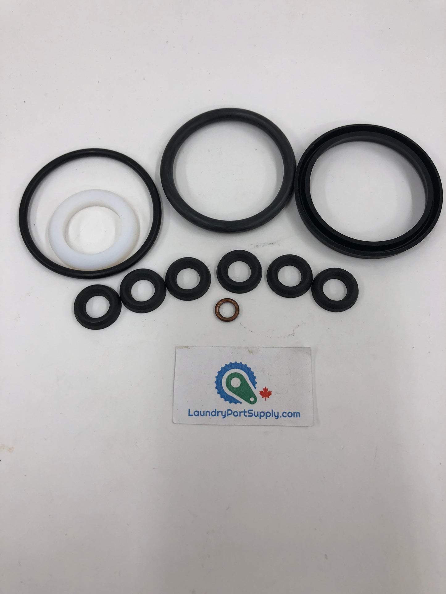 REPAIR KIT, 1.25" BURKERT STEAM VALVE